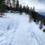 Durch lichten Wald und Wiesen zur Geisleralm