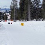 Vergnügliche Abfahrt auf der Rodelbahn Karerpass