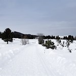 Winterwandern auf der Villanderer Alm zur Rinderplatz Hütte