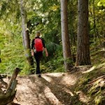 Unsere Wanderung führt uns durch lichte Wälder