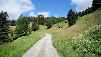 Sanft schlängelt sich der breite Wanderweg zur Klausner Hütte
