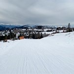 Die Rodelbahn Karerpass ist bestens präpariert