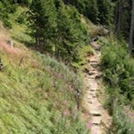 Auf dem Weg Nr. 6 nach Oberwielenbach