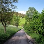 Von Ums folgt man zunächst einer asphaltierten Straße in Richtung Prösels