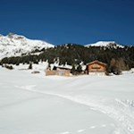 Zu-Füßen-der-Telfer-Weißen-lädt-die-Freundalm-auch-im-Winter-zur-Einkehr-ein