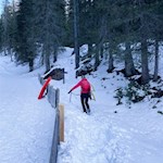 Nach der Überquerung der Rodelbahn setzt sich die Wanderung auf dem Waldsteig fort