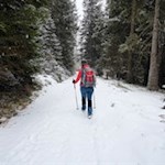 Die Wanderung zur Bacherhütte führt durch den verschneiten Nadelwald