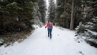 Die Wanderung zur Bacherhütte führt durch den verschneiten Nadelwald
