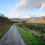 Auf dem Rückweg nach Natz