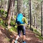 Die Wanderung zum Kofler am Kofl führt im angenehmen Anstieg durch den Wald