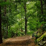 Längs des Weges laden Bänke zum Verweilen ein