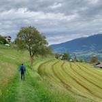 Der Rückweg von Feldthurns erfolgt auf dem Hinweg