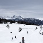 Mit den Dolomiten im Rücken zur Rinderplatz Hütte