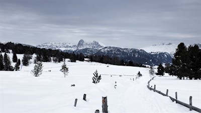 Mit den Dolomiten im Rücken zur Rinderplatz Hütte