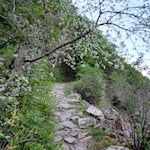 Im steten Anstieg nach Seit