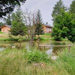 Teich neben der Zuegghütte