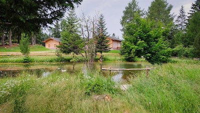 Teich neben der Zuegghütte