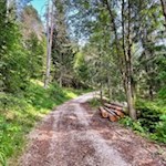 Waldwanderung zur Tschafonhütte