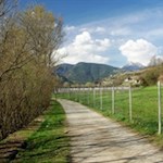 Am orographisch linken Flussufer in Richtung Neustift