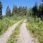 Auf breiten Wegen zur Klausner Hütte