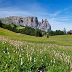 Auf dem Rückweg von der Rauchhütte öffnen sich schöne Ausblicke auf den Schlern