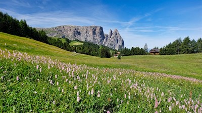 Auf dem Rückweg von der Rauchhütte öffnen sich schöne Ausblicke auf den Schlern