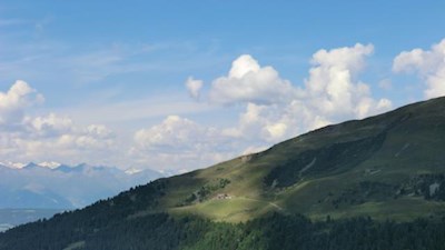 Durch Almwiesen und lichte Wälder zur Ochsenalm