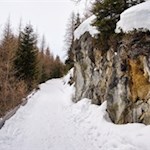 Rodelbahn von der Moserhütte