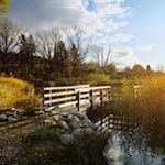 Herrlich herbstlich präsentiert sich das Biotop Laugen