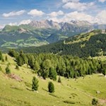 At the foot of the Sassolungo group towards the Vicenza mountain hut of Sasso Lungo