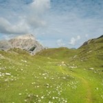 Das steinbeschlagene Weidegebiet hinter der Rossalm