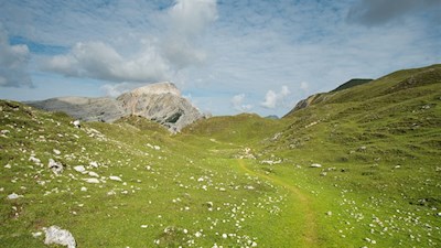 Das steinbeschlagene Weidegebiet hinter der Rossalm