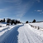 Die verschneite Rodenecker Alm ähnelt einer Märchenlandschaft