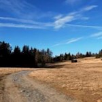 Braungetönte Herbstlandschaft auf der Lüsner Alm