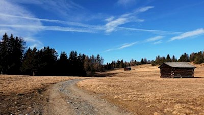 Braungetönte Herbstlandschaft auf der Lüsner Alm