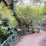 Im sanften Abstieg führt die Oswaldpromenade in die Landeshauptstadt hinab