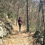 Im sanften Anstieg durch den Wald