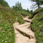 Holzplanken erleichtern den teils steileren Anstieg