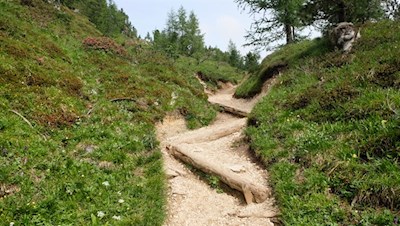 Il percorso verso il rifugio Scoiattoli è a tratti piuttosto ripido
