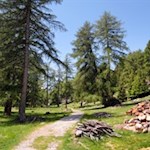 Leichte Wanderung am Vinschger Sonnenberg
