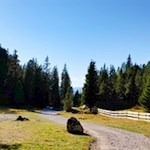 On wide paths to the Gampenalm mountain hut alpine pasture