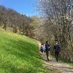 Der Keschtnweg erfreut sich insbesondere im Frühling und im Herbst großer Beliebtheit