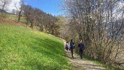 Der Keschtnweg erfreut sich insbesondere im Frühling und im Herbst großer Beliebtheit
