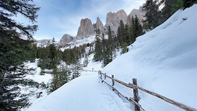 Anstieg zum Adolf Munkel Weg