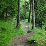 Auf einsamen Waldpfaden zur Nockalm