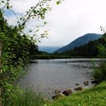 Am-Nordufer-des-idyllischen-Vahrner-Sees