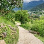 Frühlingswanderung von Niederlana nach St. Hippolyt