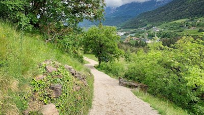 Frühlingswanderung von Niederlana nach St. Hippolyt
