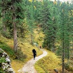 Sul sentiero n. 35 fino al rifugio Brogles