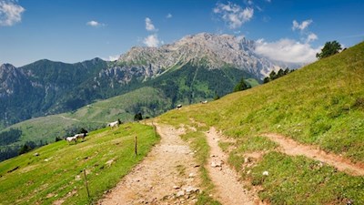 Anstieg zur Rotwandhütte